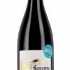 Sancerre 2018 2019 -Default Template 5 d6ba713c62813adf296ed1d2591a57249d60caa5 sancerre paul prieur et fils rouge 2017 1