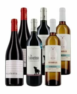 Maestro De L'apéro - 6 Bouteilles