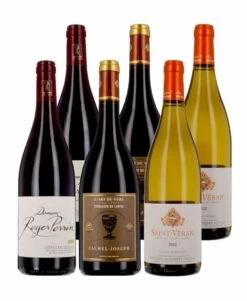 Repas Sans Faux Pas - 6 Bouteilles