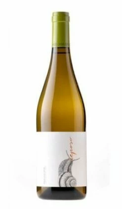 Devant -Default Template 5 reposo blanco 2020 1 1