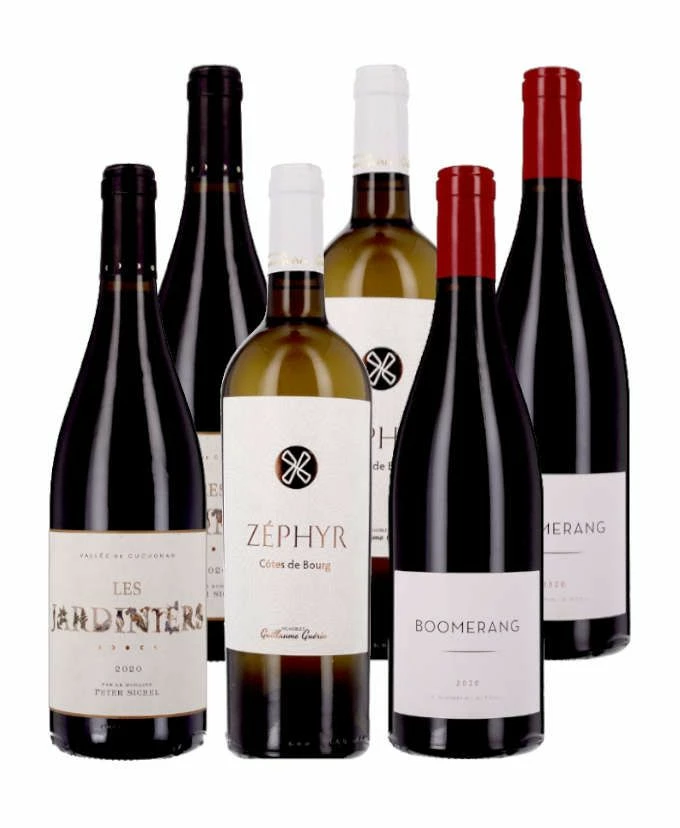 Soif De Découvertes Bio - 6 Bouteilles 3 Soif De Découvertes Bio - 6 Bouteilles