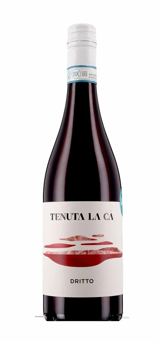 Dritto 2021 3 Dritto 2021