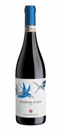 Domaine Conti Buneis Barbera D'Asti 2019